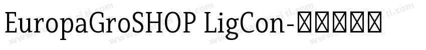 EuropaGroSHOP LigCon字体转换